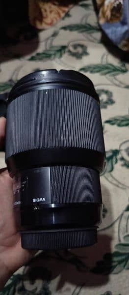 Sigma 85mmf1.4 Art series (Canon mount) 1