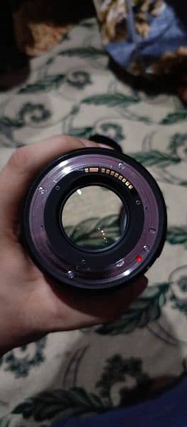 Sigma 85mmf1.4 Art series (Canon mount) 6