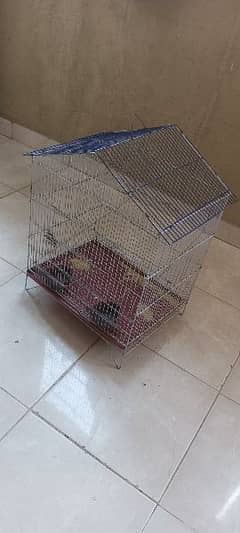 Cage For Parrot