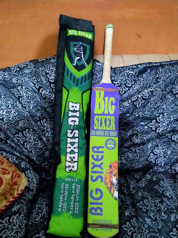 cricket bat 1