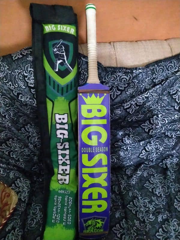 cricket bat 2