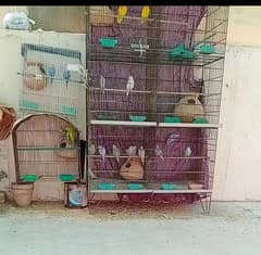 Cages for Sale