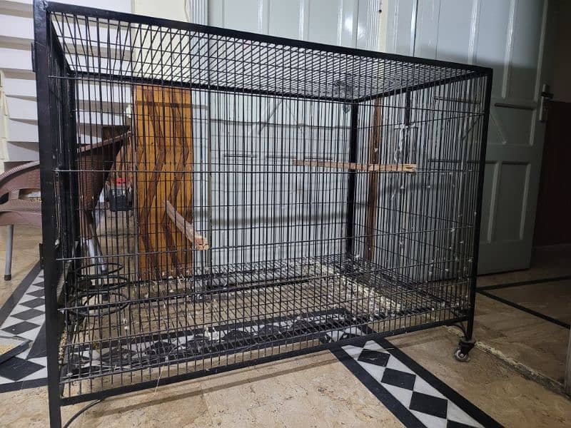 raw  parrot cage with box 1