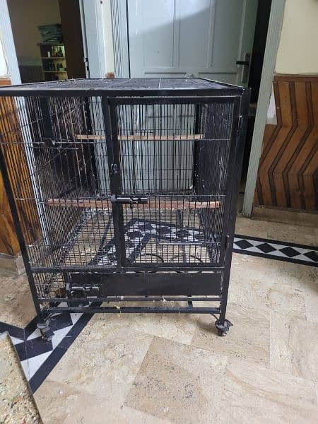 raw  parrot cage with box 4