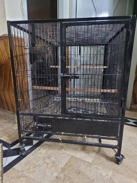 raw  parrot cage with box 6