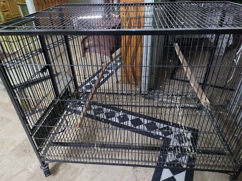 raw  parrot cage with box 9