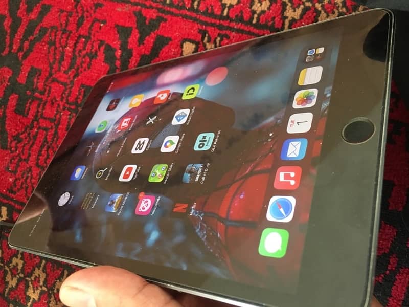 iPad mini 5 1