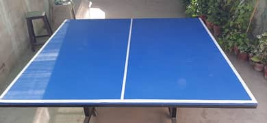 Table Tennis like new