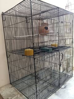 Birds Cage / pingra