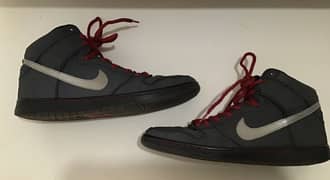 Nike SB shoes