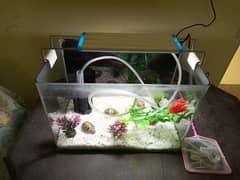 Fish Aquarium