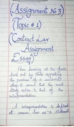 hand writing assignment work