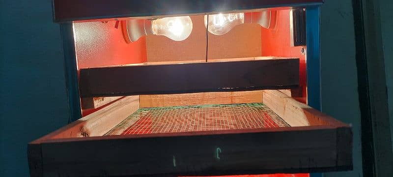 Egg incubator For sale 5