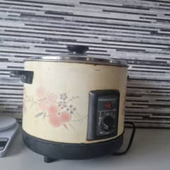 Fryer and rice cooker