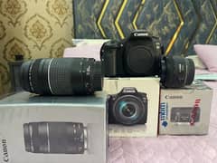 Canon 80D with 2 lens 220000 1 mic 1 Bag