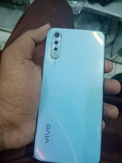 vivo