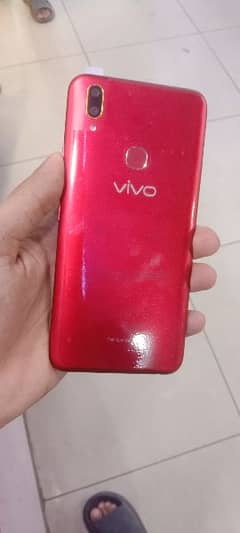 vivo