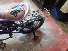 girl bicycle Anna Elsa 0