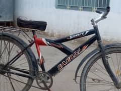 safari Sport bicycles