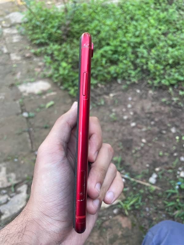 Iphone  XR non Pta 3