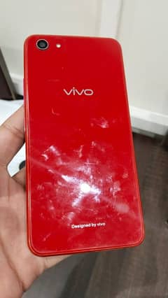 vivo