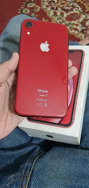 iphone xr 128gb pta approved 1