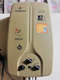 Golden Fuji gyser for sale