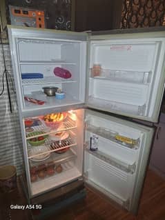 Pel Fridge 0