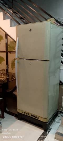 Pel Fridge (Full Size) For Sale