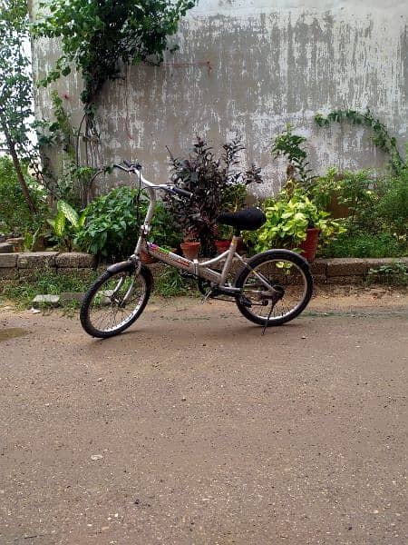 folding bicycle with gear 1