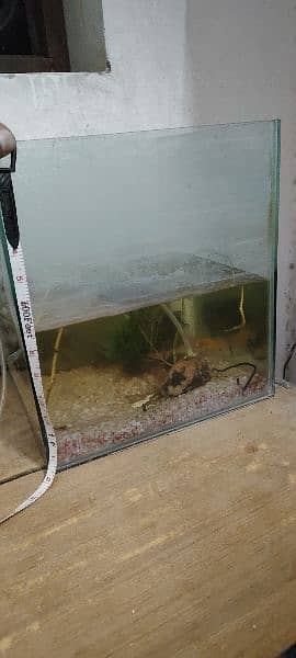 fish aquarium 15inches x 16 inches 5