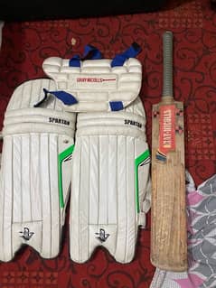 Hard ball cricket kit