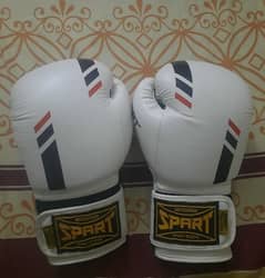 Boxing Leather Gloves 16 oz