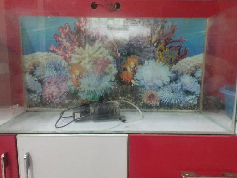 Large brand new Aquarium 3 feet by 1 feet long 0