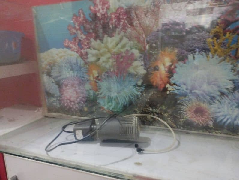 Large brand new Aquarium 3 feet by 1 feet long 1