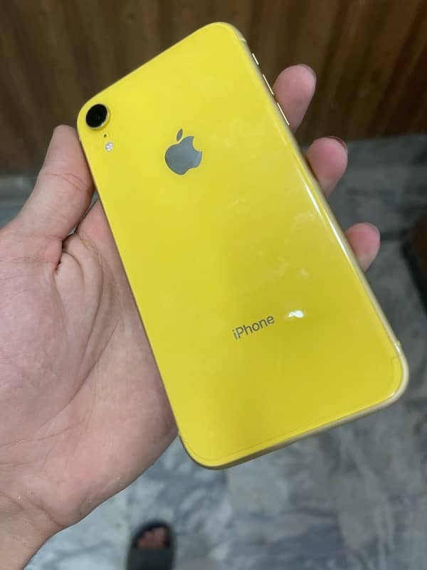 iphone XR 5