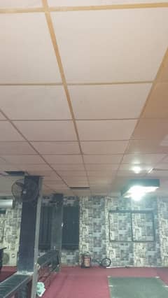 ceiling for sale