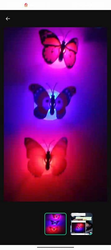 LED BUTTERFLY NIGHT LIGHT (6 PCS) 2