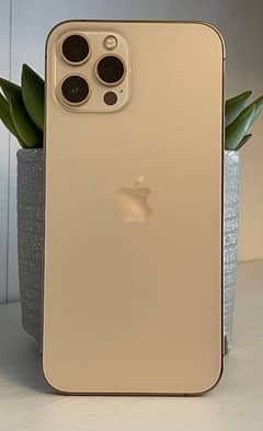 iPhone 12 Pro Max 128 GB PTA APPROVED