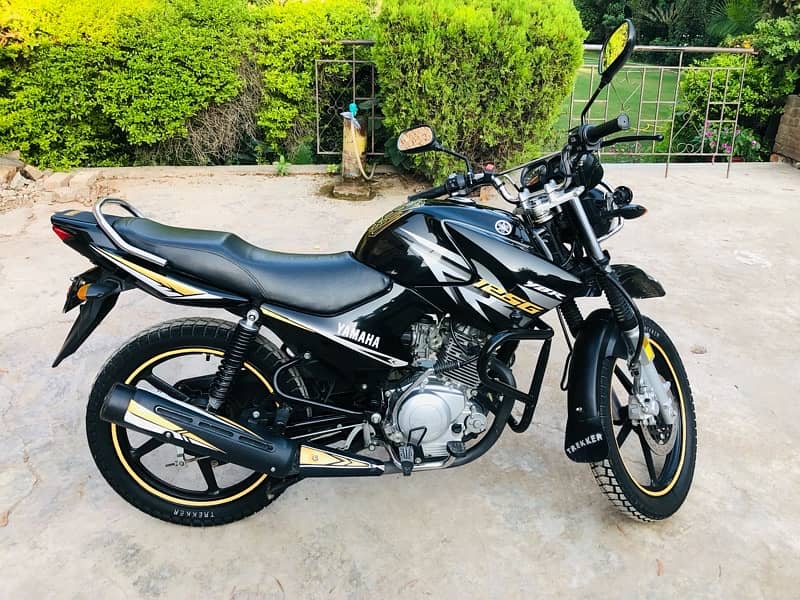 Yamaha YBR G125cc Lush condition 18