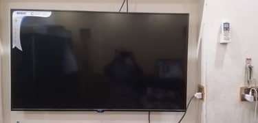 Orient 50" net wali