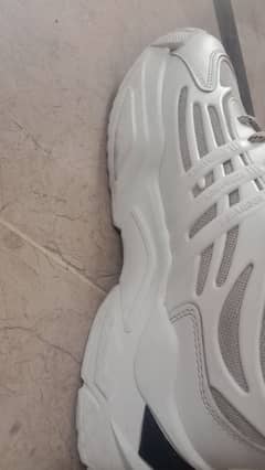 Imported Shoes in Brand New Condition