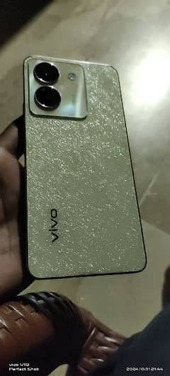 vivo