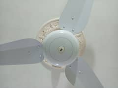 SK Used Fan