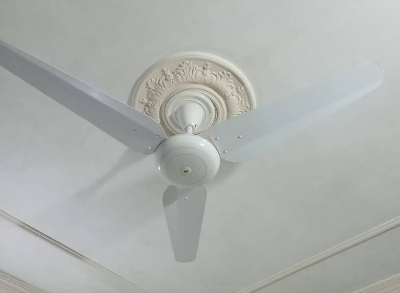 SK Used Fan 1