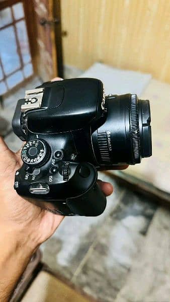 canon 600d with 18:55 & 50mm lens condition 10/9 3