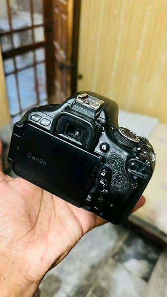 canon 600d with 18:55 & 50mm lens condition 10/9 5