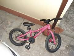 pure Aluminium bicycle for little girls