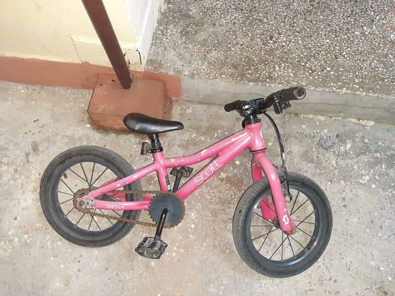 pure Aluminium bicycle for little girls 1