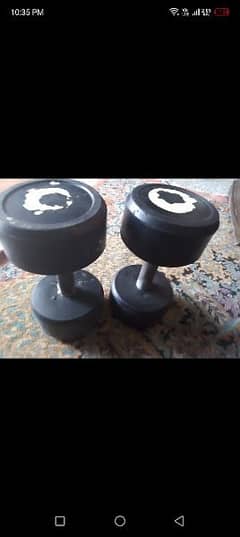 dumbbells